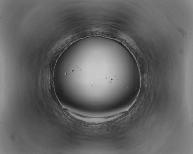X0000114391111200910161247