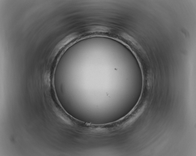 X0000114391113200910161247