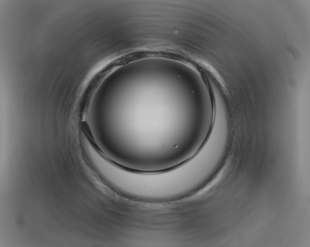X0000114391114200910161247