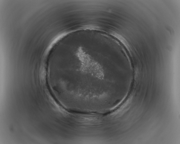 X0000114391115200910161247