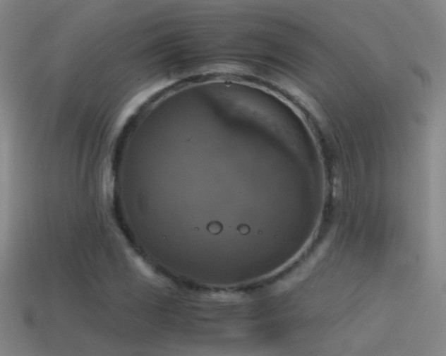 X0000114391117200910161247