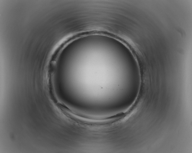 X0000114391118200910161247