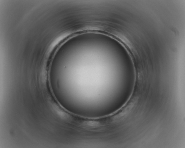 X0000114391119200910161248