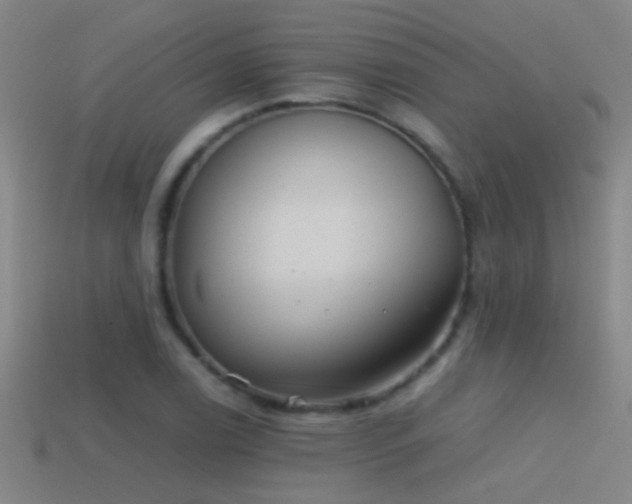 X0000114391122200910161248