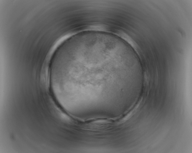 X0000114391123200910161248