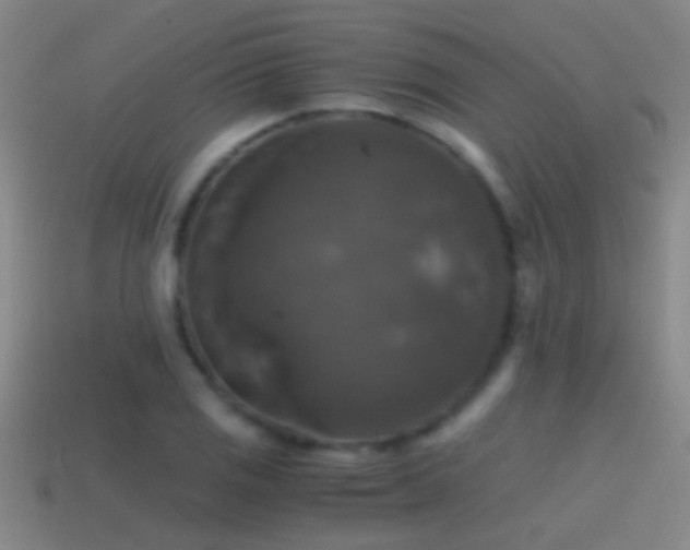 X0000114391125200910161248