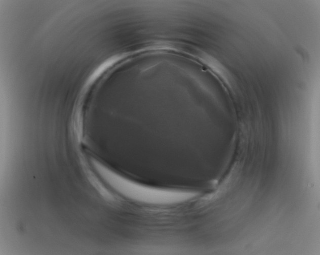 X0000114391127200910161248