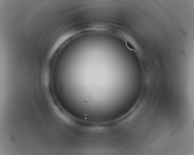 X0000114391131200910161248