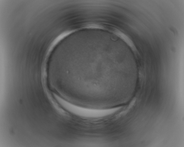 X0000114391133200910161248