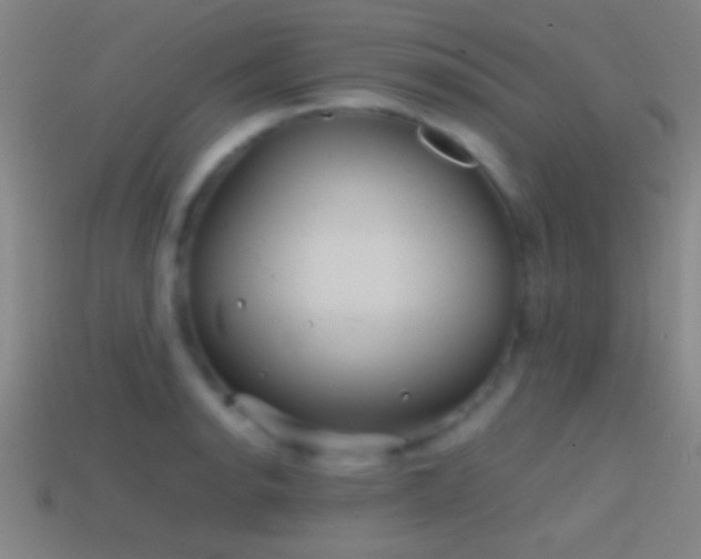 X0000114391134200910161248