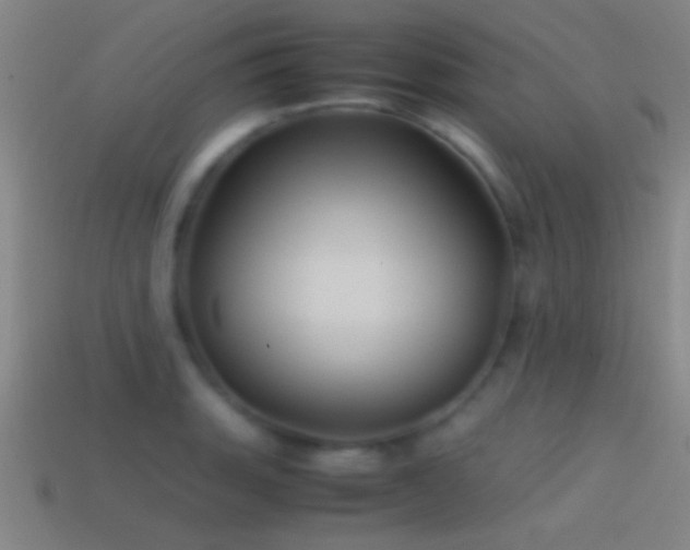 X0000114391135200910161248