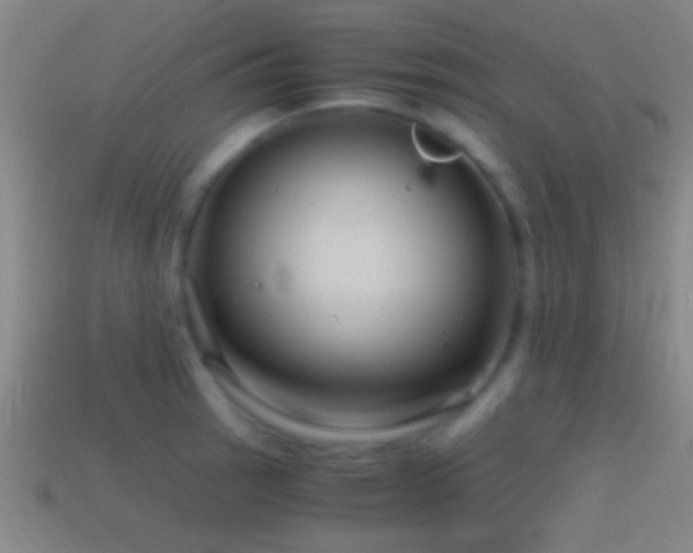 X0000114391137200910161248