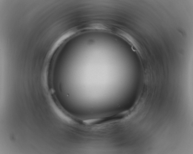 X0000114391139200910161248