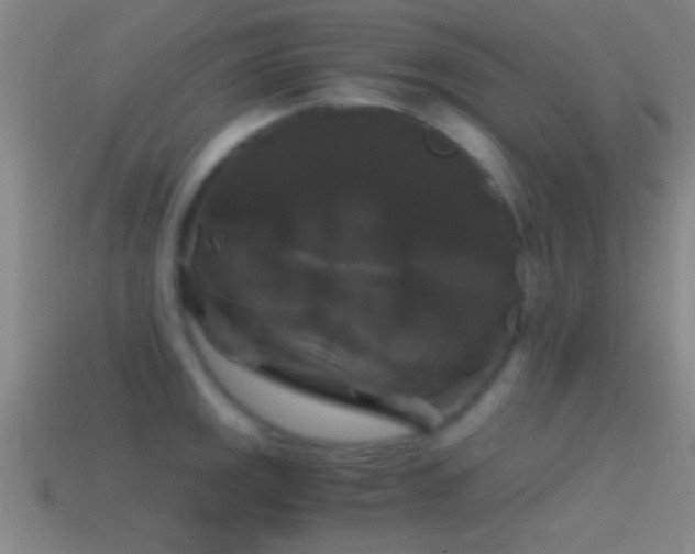 X0000114391141200910161248