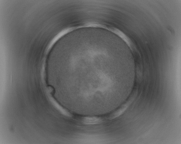 X0000114391142200910161248