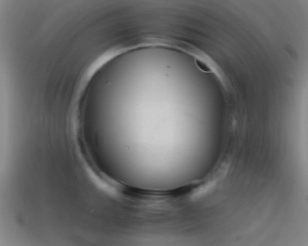X0000114391143200910161248