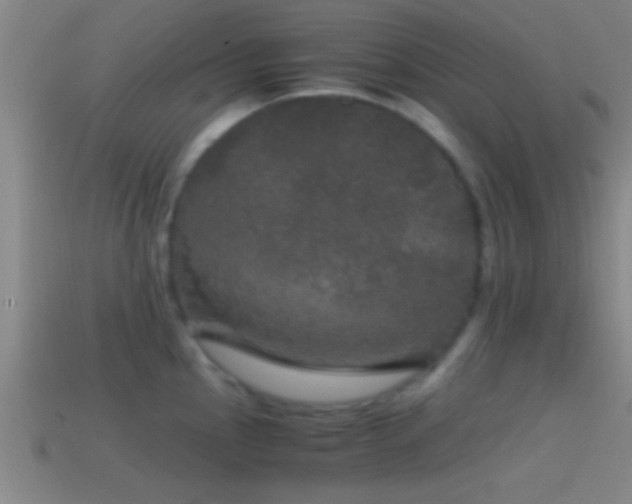 X0000114391145200910161248
