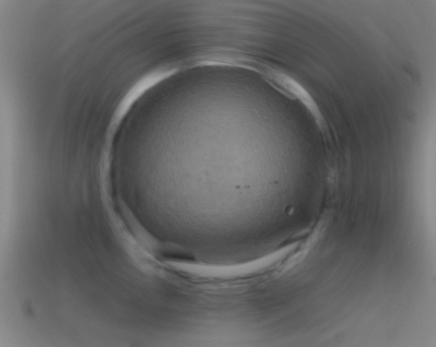 X0000114391146200910161248