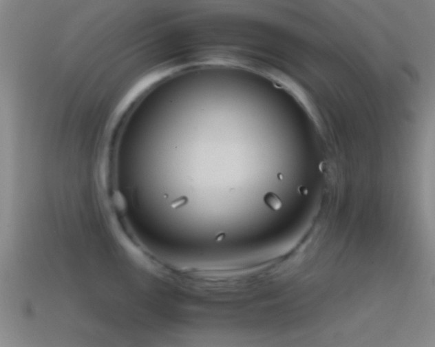 X0000114391147200910161248