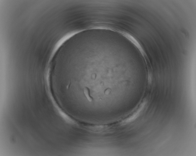 X0000114391149200910161248
