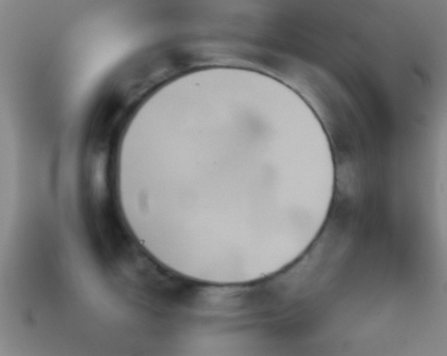 X0000114391150200910161248