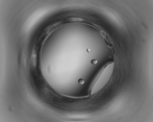X0000114391151200910161248