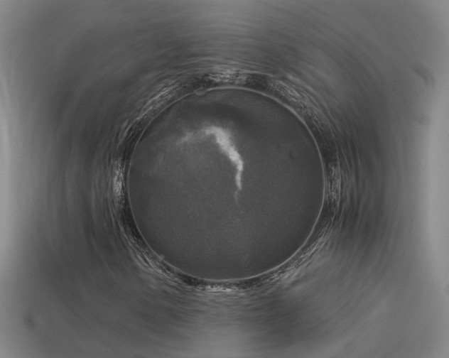 X0000114391154200910161247