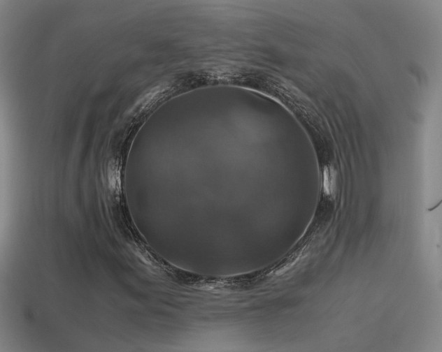 X0000114391155200910161247