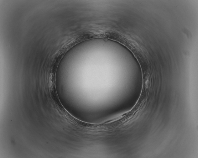 X0000114391156200910161247