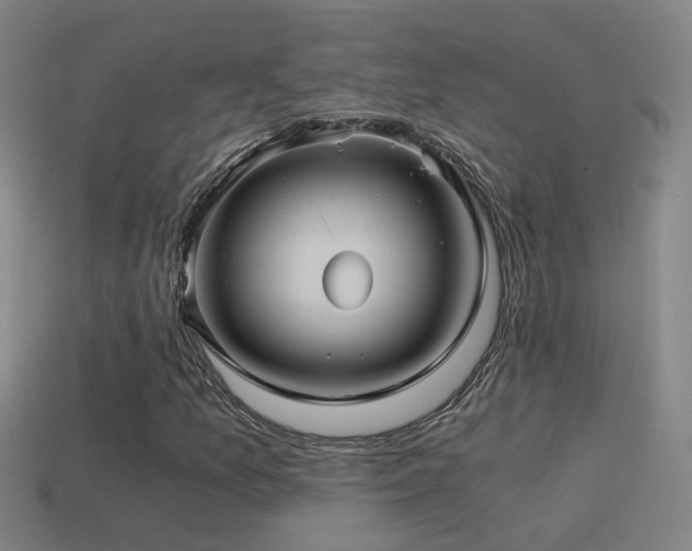 X0000114391157200910161247