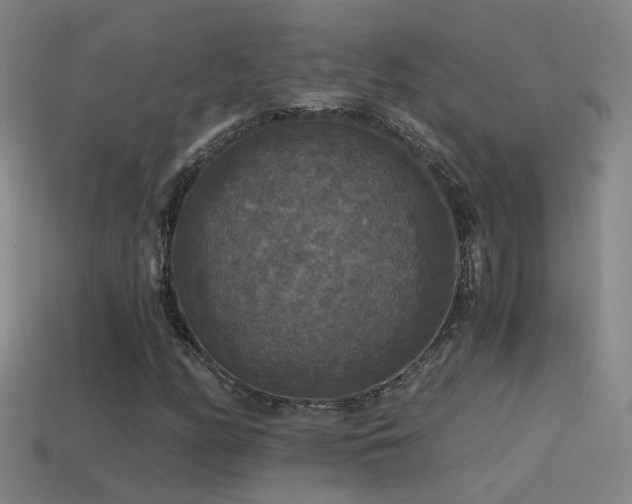 X0000114391158200910161247