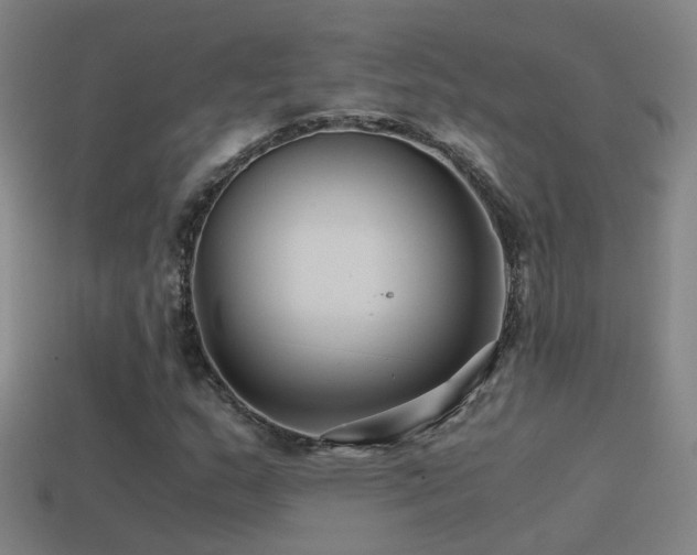 X0000114391159200910161247