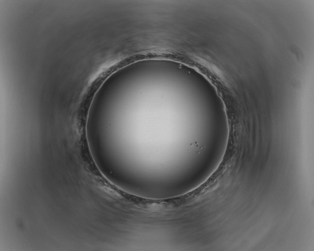 X0000114391160200910161247