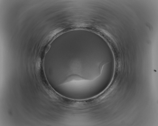 X0000114391161200910161247