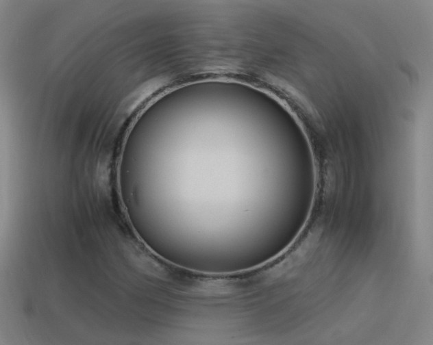 X0000114391162200910161247