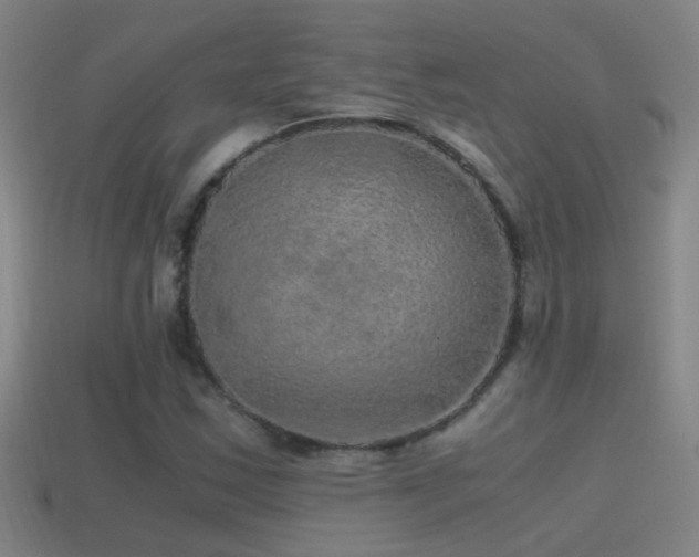 X0000114391163200910161247