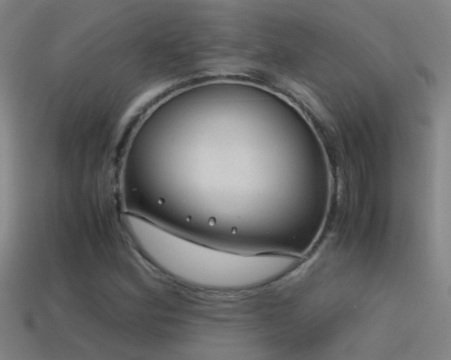 X0000114391164200910161247