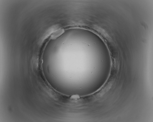 X0000114391165200910161247