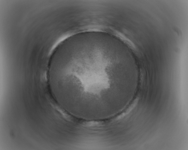 X0000114391166200910161247