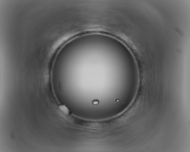 X0000114391167200910161247