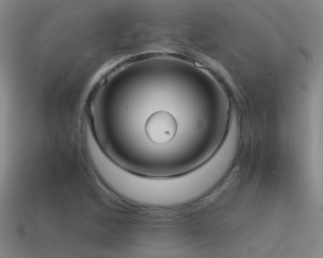 X0000114391168200910161247