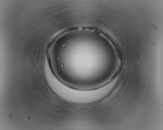 X0000114391169200910161247
