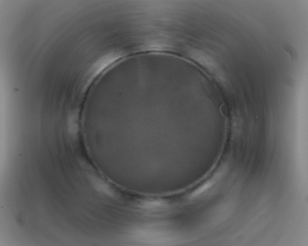X0000114391170200910161247