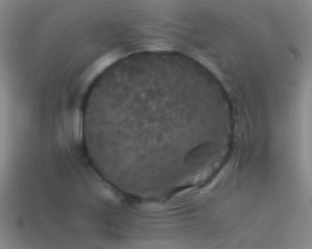 X0000114391171200910161247