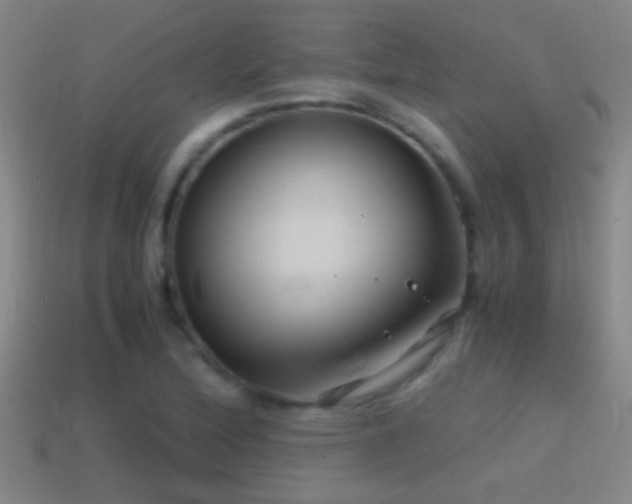 X0000114391172200910161247
