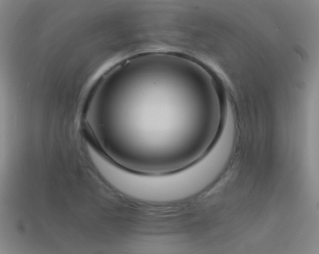 X0000114391173200910161247