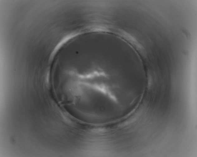 X0000114391174200910161247