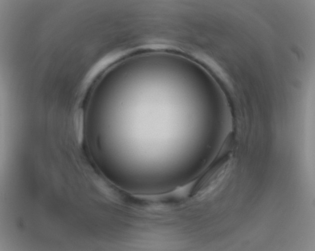 X0000114391175200910161247