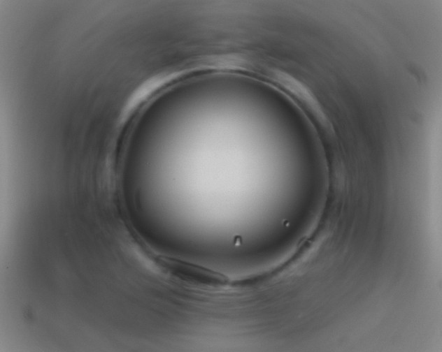X0000114391176200910161247