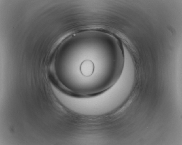 X0000114391177200910161247